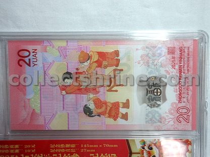China 2025 Year of the Snake Commemorative Coin and Note Set