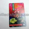 Hong Kong KCR Train Hong Kong Flower Show (14-23/3/97) Commemorative Train Ticket and Entry Ticket (Used with no value, for Collectors only)