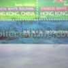 Hong Kong Official First Day Cover "Chinese White Dolphin" (14/11/1999)