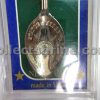 Statue of Liberty Graphic Spoon
